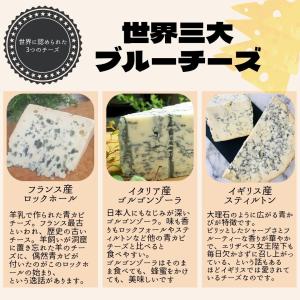 【 ゴルゴンゾーラ ピカンテ 140g〜150...の詳細画像5