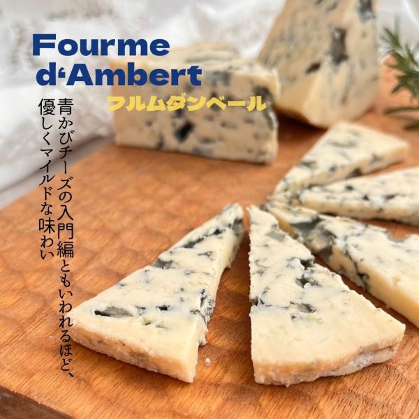 【 フルムダンベール 約140ｇ〜150ｇ 】 ナチュラルチーズ ブルーチーズ ぶるー オーベルニュ...