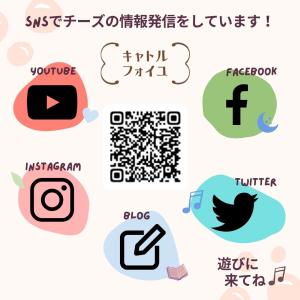 【 ドイツ モツァレラ 140g〜150g 】...の詳細画像5