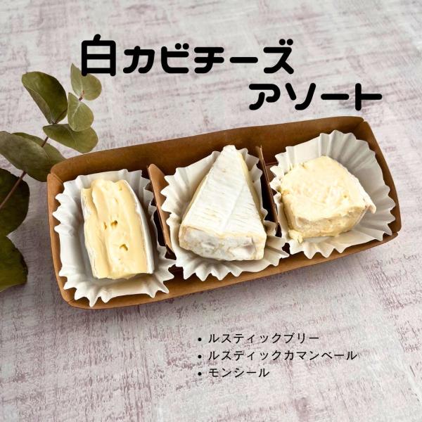【 白カビ チーズ アソート 】 プラトー 詰合せ 詰め合わせ 盛り合わせ ルスティック カマンベー...