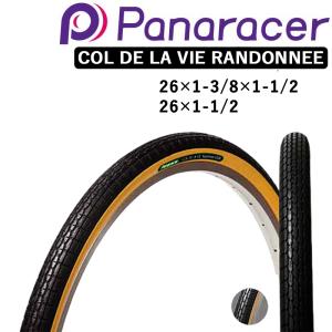 Panaracer（パナレーサー） RACE C EVO4 （レースCエボ4）クリンチャー