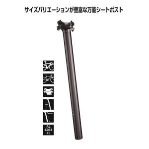 ビービービー SKYSCRAPER（スカイスクレイパー）シートポスト径/シートポスト長：29.4〜34.9mm/400mm BBB