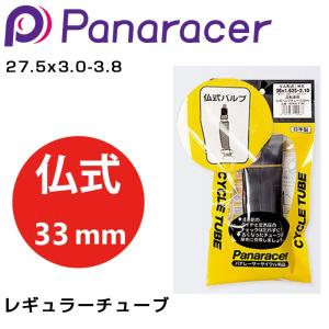 Panaracer（パナレーサー） チューブラータイヤ用リムセメント