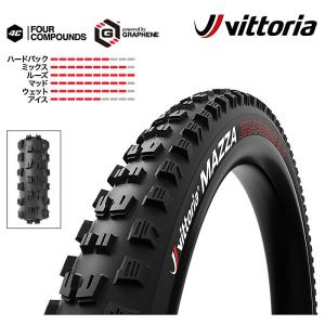 SCHWALBE（シュワルベ） NOBBY NIC （ノビーニック）Super Race