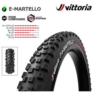 特セール)カンパニョーロ（CAMPAGNOLO） DB スチールスパイダー 160mm