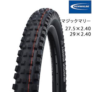 SCHWALBE（シュワルベ） G-ONE ALLROUND Performance（ジーワンオール