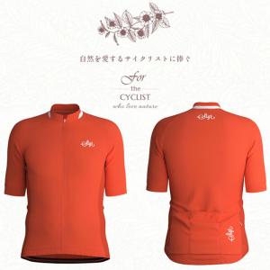 DE ROSA（デローザ） ＜最安値挑戦中＞☆DE ROSA Santini デローザ