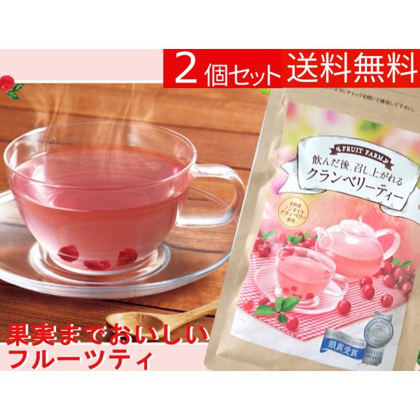 菊星 フルーツファーム クランベリーティー 52ｇ 2袋セット 送料無料 ドライフルーツ フルーツテ...