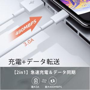 usb type-c ケーブル iPhone1...の詳細画像3