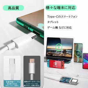 usb type-c ケーブル iPhone1...の詳細画像2