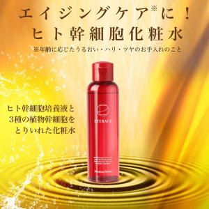 ヒト幹細胞 化粧水 ローション EGF グロースファクター プロテオグリカン パルチミン酸レチノール ビタミンC誘導体 ETERAGE 150ml 日本製