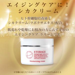 ヒト幹細胞 シカクリーム EGF グロースファクター ツボクサエキス プロテオグリカン フラーレン パルチミン酸レチノール ビタミンC誘導体 ETERAGE 30g 日本製