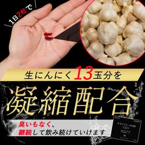 オキソアミヂン 200mg 配合 オキソアミー...の詳細画像4