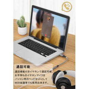 【USBをイヤホンに変換 通話可能】PC パソ...の詳細画像5
