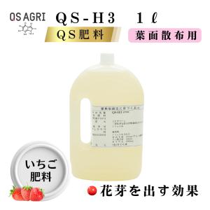 QS-H3