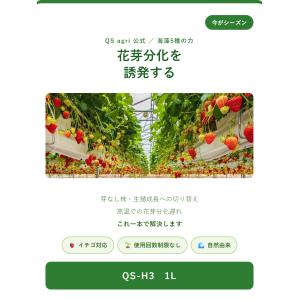 QS-H3の詳細画像1