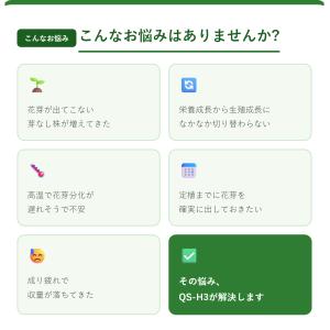QS-H3の詳細画像2