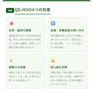 QS-H3の詳細画像3