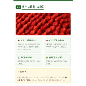 QS-H3の詳細画像5