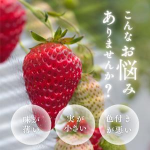 QS-H4の詳細画像1