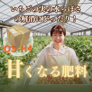QS-H4の詳細画像2
