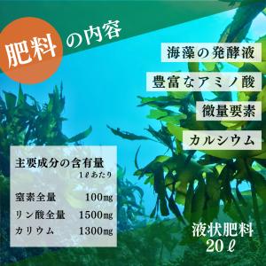 QS-H4の詳細画像4