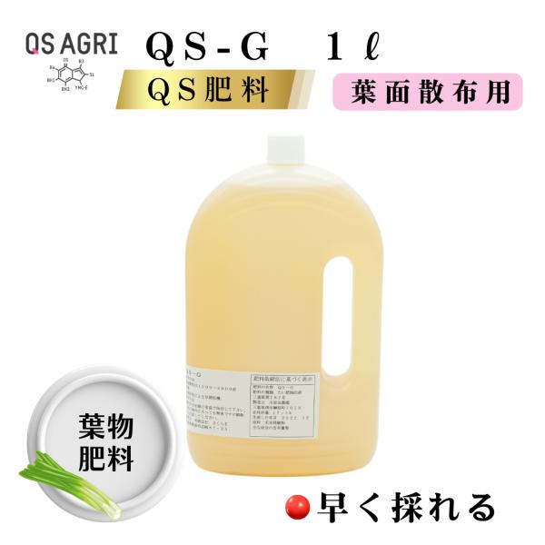 QS-G