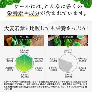 【公式】キューサイ ザ・ケール+ハチミツ(ステ...の詳細画像5