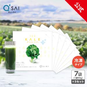 PYR FILING PLUS パイラ ファイリング プラス 45包入り【2箱