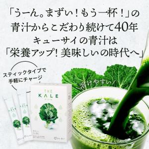 【公式】キューサイ ザ・ケール (スティックタ...の詳細画像1