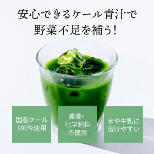【公式】キューサイ ザ・ケール (スティックタ...の詳細画像2