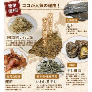 だしパック 無添加 国産 10g×50袋 (2...の詳細画像2