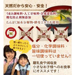 だしパック 無添加 国産 10g×25袋 食塩...の詳細画像1