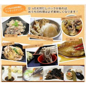 だしパック 無添加 国産 10g×25袋 食塩...の詳細画像4