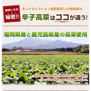 高菜 辛子高菜 3袋 お好きな辛さ 樽味屋 か...の詳細画像3