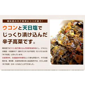 高菜 辛子高菜 3袋 お好きな辛さ 樽味屋 か...の詳細画像4