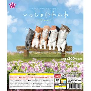 いっしょにねんね 〜にゃんこ〜【全5種類】【40個入】【カプセル入】【DP台紙付】