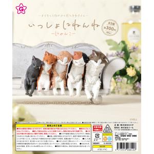 いっしょにねんね 〜にゃんこ〜【全5種類】【4...の詳細画像1