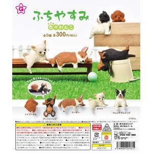 もこわんこ ふちやすみ 色々わんこ 【全5種類】 【40個入】 【カプセル入】 【DP