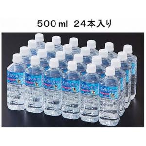 送料無料】佐賀北山の非加熱天然水500ml×24本セット 天使の希水 【風