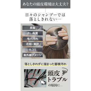 ヘッドスクラブ 頭皮ケア ヘッドスパ スカルプ...の詳細画像5
