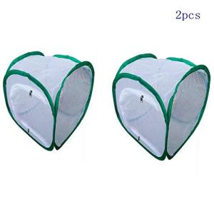 Quad Store スターター 飼育セット 昆虫用品 Yahoo ショッピング