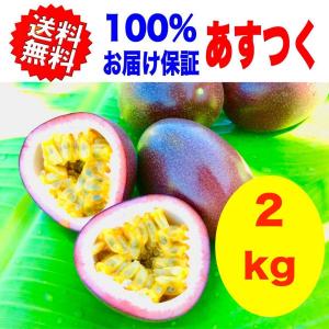 パッションフルーツ 沖縄県産 家庭用 約２kg  果物   100%お届け保証