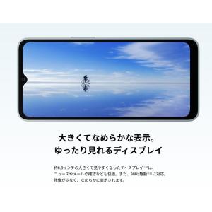 「新品 未使用 白ロム ] Simフリー AQ...の詳細画像5