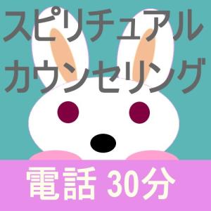 スピリチュアル電話相談＆神様からの助言  30分 9900円