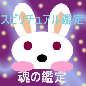 スピリチュアル鑑定　心の状態(魂の状態)の鑑定。二人用(ペット、故人も含みます)　休日も対応可