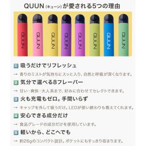 シーシャ 使い捨て 電子タバコ 電子シーシャ ...の詳細画像2
