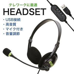 Panasonic（パナソニック） ワイヤレススピーカー用 ワイヤレス送信機