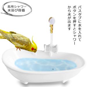 バードバス 鳥 水浴び容器 バスタブ インコ 文鳥 小鳥用 水浴び 鳥用シャワー 電動シャワー付き 水浴びケース 水遊び お風呂型 自動シャワー シャワー ペット 鳥｜クアトロ