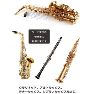 マウスピースパッチ 24枚入り 0.5 マウス...の詳細画像4